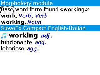 Enit_morpho